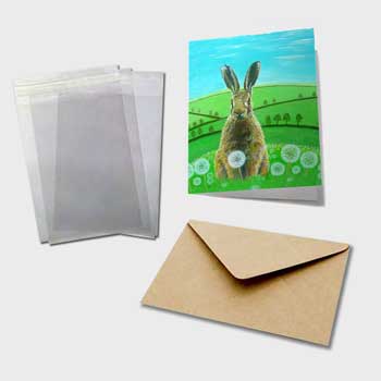 Greeting Card Sample Pack