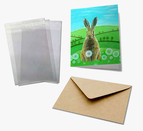 greeting card sample pack